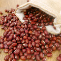 Wholesale High Quality Dried Adzuki Beans / Azuki Beans